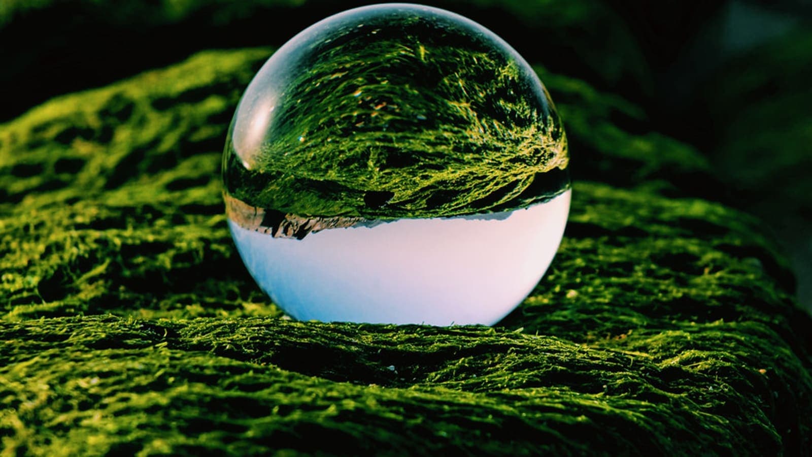 ESG e Direito: Como Proteger sua Empresa com Responsabilidade e Segurança Jurídica