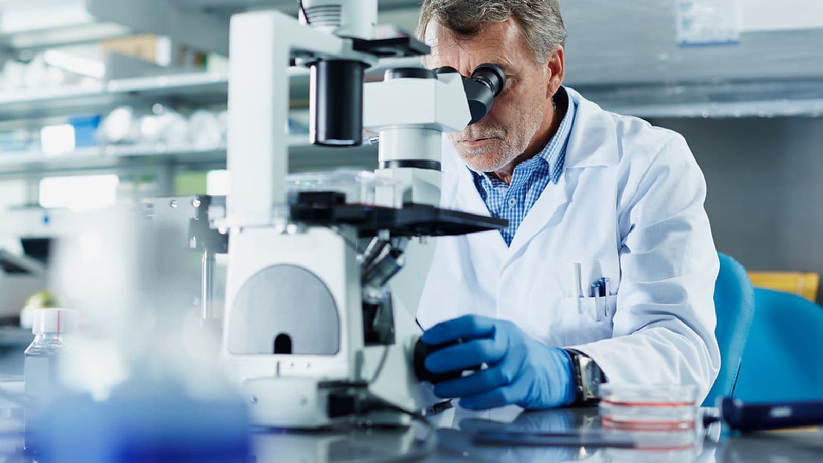 O que a adesão do Brasil ao Tratado de Budapeste significa para as empresas inovadoras e o setor de biotecnologia